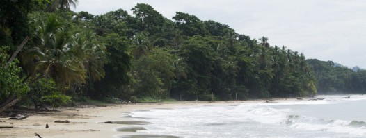 Costa Rica – In Punta Uva